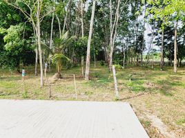  Land for sale in Thao Thep Kasattri Thao Sri Sunthon Monument, Si Sunthon, Si Sunthon