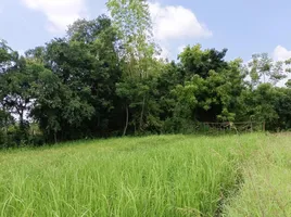  Grundstück zu verkaufen in Sikhio, Nakhon Ratchasima, Kut Noi