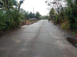  Land for sale in Mae Rim, Chiang Mai, San Pong, Mae Rim
