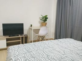 1 Schlafzimmer Appartement zu vermieten im Supalai Veranda Rama 9, Bang Kapi