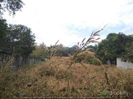  Grundstück zu vermieten in Pegu, Bago, Bago Pegu, Pegu