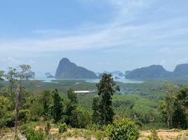  Land for sale in Phangnga, Tha Yu, Takua Thung, Phangnga
