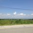  Land for sale in Chiang Rai, Khrueng, Chiang Khong, Chiang Rai