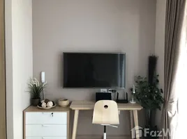 Studio Condo for rent at The Riviera Wongamat, Na Kluea