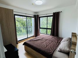 2 Schlafzimmer Appartement zu vermieten im Supalai Vista Phuket, Talat Yai, Phuket Town, Phuket, Thailand