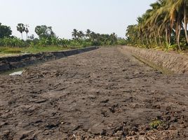  Grundstück zu verkaufen in Sam Phran, Nakhon Pathom, Khlong Mai