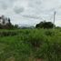  Land for sale in Na Pa, Mueang Chon Buri, Na Pa