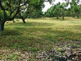  Land for sale in Chiang Dao, Chiang Mai, Thung Khao Phuang, Chiang Dao