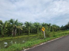 ขายที่ดิน ใน ตะกั่วทุ่ง พังงา, โคกกลอย