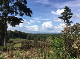  Land for sale in Pha Sing, Mueang Nan, Pha Sing