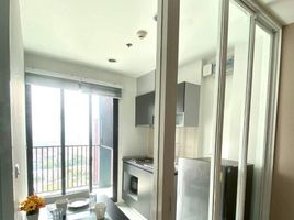 1 Bedroom Condo for rent at The Base Rama 9 - Ramkhamhaeng, Hua Mak