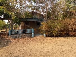  Land for sale in Sap Yai, Chaiyaphum, Sap Yai, Sap Yai