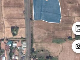  Land for sale in Si Lako, Chakkarat, Si Lako