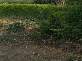  Land for sale in Tha Bo, Nong Khai, Phon Sa, Tha Bo