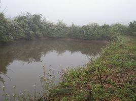 在范县, 清迈出售的 土地, Mae Kha, 范县