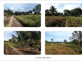  Land for sale in Thailand, Bang Muang, Takua Pa, Phangnga, Thailand