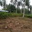  Land for sale in Phuket, Pa Khlok, Thalang, Phuket