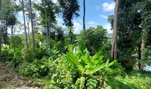 N/A Land for sale in Choeng Thale, Phuket 