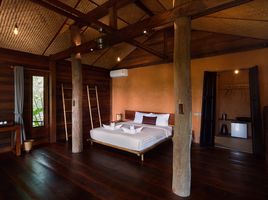8 Schlafzimmer Villa zu verkaufen in Mueang Chiang Rai, Chiang Rai, Nang Lae, Mueang Chiang Rai, Chiang Rai
