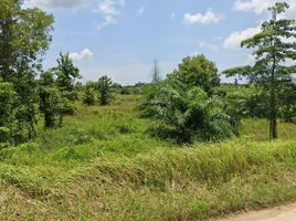  Land for sale in Krabi, Krabi Noi, Mueang Krabi, Krabi