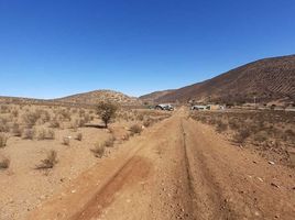  Land for sale in Ovalle, Limari, Ovalle