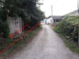  Land for sale in Mueang Nakhon Pathom, Nakhon Pathom, Sam Khwai Phueak, Mueang Nakhon Pathom