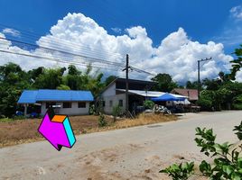  Grundstück zu verkaufen in Mae Rim, Chiang Mai, Mae Raem