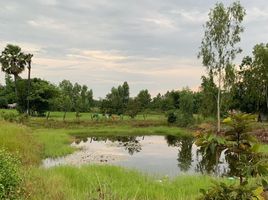  Grundstück zu verkaufen in Sakhrai, Nong Khai, Sakhrai, Sakhrai