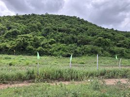  Grundstück zu verkaufen in Pran Buri, Prachuap Khiri Khan, Pak Nam Pran, Pran Buri