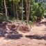  Grundstück zu verkaufen in Koh Phangan, Surat Thani, Koh Tao, Koh Phangan, Surat Thani