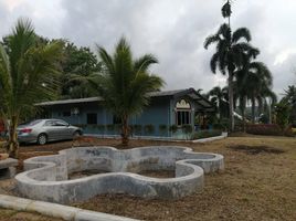 2 Schlafzimmer Haus zu vermieten in Takua Thung, Phangnga, Krasom, Takua Thung