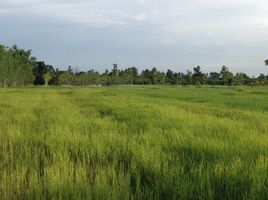 Grundstück zu verkaufen in Tan Sum, Ubon Ratchathani, Na Khai