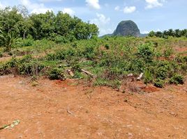  Grundstück zu verkaufen in Mueang Krabi, Krabi, Nong Thale