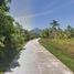  Land for sale in Koh Phangan Surat Thani, Koh Phangan, Koh Phangan, Surat Thani, Thailand