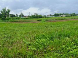  Land for sale in Samran Rat, Doi Saket, Samran Rat