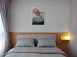 1 Schlafzimmer Wohnung zu vermieten im Atmoz Kanaal Rangsit, Bang Phun, Mueang Pathum Thani