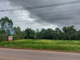  Grundstück zu verkaufen in Phen, Udon Thani, Phen, Phen, Udon Thani, Thailand