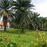  Land for rent in Si Sunthon, Phuket, Si Sunthon, Thalang