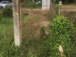  Grundstück zu verkaufen in Chaiya, Surat Thani, Lamet