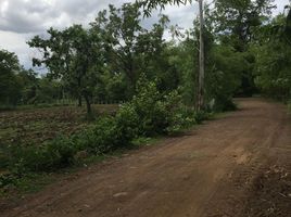  Grundstück zu verkaufen in Mueang Buri Ram, Buri Ram, Ban Yang, Mueang Buri Ram