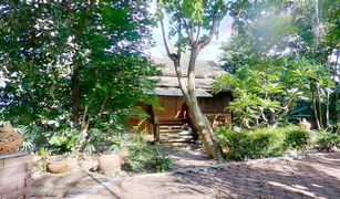 3 Schlafzimmern Haus zu verkaufen in Khua Mung, Chiang Mai 