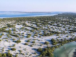 3 बेडरूम मकान for sale at Al Jubail Island, Saadiyat Beach, सादियात द्वीप, अबू धाबी