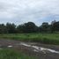  Land for sale in Las Lajas, Chame, Las Lajas