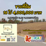 在泰国出售的 土地, Mueang Khong, Khong, 呵叻府, 泰国