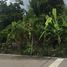  Land for sale in Ban Prok, Mueang Samut Songkhram, Ban Prok