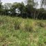  Land for sale in Nong Nam Daeng, Pak Chong, Nong Nam Daeng