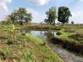  Grundstück zu verkaufen in Khok Samrong, Lop Buri, Sakae Rap, Khok Samrong