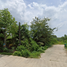  Land for sale in Tha Sala, Nakhon Si Thammarat, Tha Sala, Tha Sala