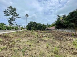  Land for sale in Surat Thani, Bo Phut, Koh Samui, Surat Thani