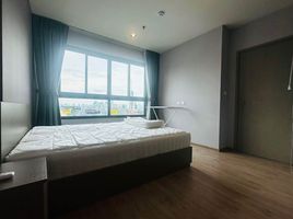 1 Schlafzimmer Wohnung zu vermieten im Ideo Mobi Rama 9, Huai Khwang, Huai Khwang, Bangkok